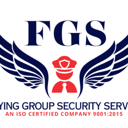 Gold Wings in Shield Logo (7)